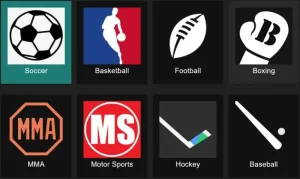 Sportsurge 1